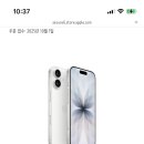 강남-256 이미지