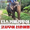 라드(LAD) | 코사무이 신혼여행 4일차 디스커버리 투어 1편｜코끼리 트래킹 & 라드코 전망대 & 나무앙 폭포 코스