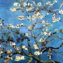 목련나무집 이미지