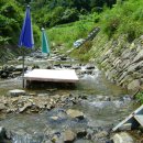 돌배나무 민박 이미지