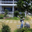 the sea 펜션 이미지