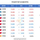 정치주간 뉴스케이프