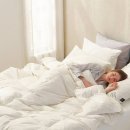 소프라움 상설 아울렛 | 소프라움 구스이불 사르르 | 타브랜드와 비교 분석 후기