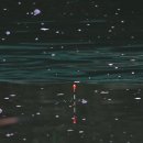 묵리낚시터 이미지