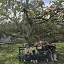 꽃재유치원 이미지