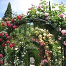 가든플라워 이미지