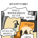 에델피아노교습소 | 저는 마들렌을 구울게요. 홍차는 아무나 좀 타주세요 마담 프루스트의 비밀정원(영화후기/스포O)
