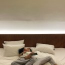 더레지아C 이미지