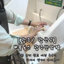 버블타운 | 광주첨단 애견목욕 가능한 대형 셀프목욕샵, ‘버블독스’ 후기