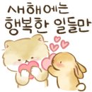 (주)하나엘리베이터 이미지