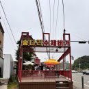 솜다리 | 속초 햄버거 맛집 솜다리수제버거 오픈런 웨이팅 후기