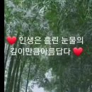 &#34;홍하사의 잡다한이야기&#34;---(1425) &#34;인생 이야기&#34;---(351) (STR이 뭔지 알고갑시다) (속보) &amp; (모스탄 대사) 이미지