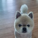 Re: 미용 숍 이미지