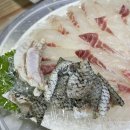 평화제일 | 목포 현지인 맛집 목포평화광장 제일먹거리 밑반찬 많이 나오는 목포 실비집 감성돔 회 먹고 온 솔직후기