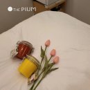 더 피움 온열힐링센터