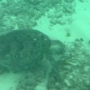 사무실용 건축물(잠원동 31-12) | 가오슝) 소류구 겨울 스노쿨링, 대중부잠 말고 kkday 업체 내돈내산 이용 후기