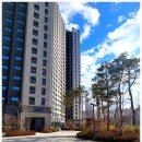 문화아파트 앞 횡단보도 이미지