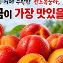 존푸드 - 아산시 | 존푸드
