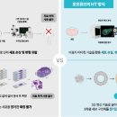 토모가 이미지