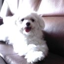 보라매약수터 이미지