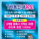 TH용인대유도체육관 이미지