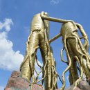 금산다락원광장 이미지