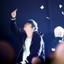 지니 나비 이미지