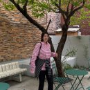 라라슬데일리룩 : 피케 셔츠 코디 ft. 문선 PK 스트라이프 카라 티셔츠, 카프리팬츠, 더로우 테라스백...
