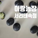이랑푸드 이미지