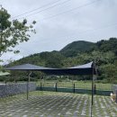 [가평]반려견과 힐링캠핑! 가평 아워포레스트(Our Forest) 캠핑장 추천 후기- 애견 운동장, 수영장, 카페