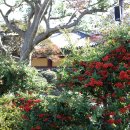 서복전시관-주차장 이미지