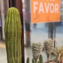 멕시칸 | 판교현백 맛집 이터스멕시칸 치폴레 크림 파스타 후기