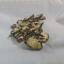 제천약초시장 이미지