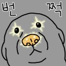 고모네칼국수 이미지