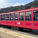 백두대간약초나라 | 백두대간협곡열차 탑승 후기 분천에서 철암까지 겨울기차여행