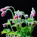 달맞이팬션 이미지