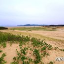 은빛파도 이미지