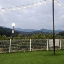 강아지당 | 청도 신난다애견글램핑 강아지 동반 내돈내산 솔직후기