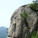 제207회 정기산행 충북 괴산 막장봉(868m) 산행 (2015년 7월 11일) 이미지