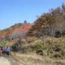 수산1리 이미지