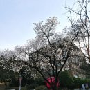 덕수궁 애 | 서울 덕수궁 정동길 밥집 탄백,정동길까페 라운드앤드,신아기념관 트롤스페이퍼(문구쇼핑)