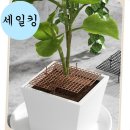 흙 이미지