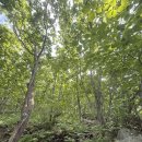 신기 | 고헌산 등산코스 및 후기 신기마을-&gt;고헌사-&gt;정상-&gt;외항재 완등 후기! 조망·난이도·하산길 총정리