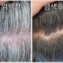 큐사랑염색 이미지