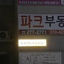 리플리네일