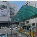 제네시스호프 이미지