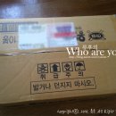벅시월드 이미지