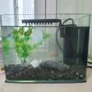 주사랑마트 이미지