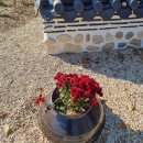 다산생태공원 | 남양주 가볼만한곳 :: 다산생태공원 산책 단풍구경