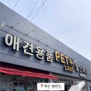 로얄펫 | 로얄테일즈펫랜드 시승 후기｜강아지유모차 매장 직접 가본 후기 (강아지 유모차 할인매장)